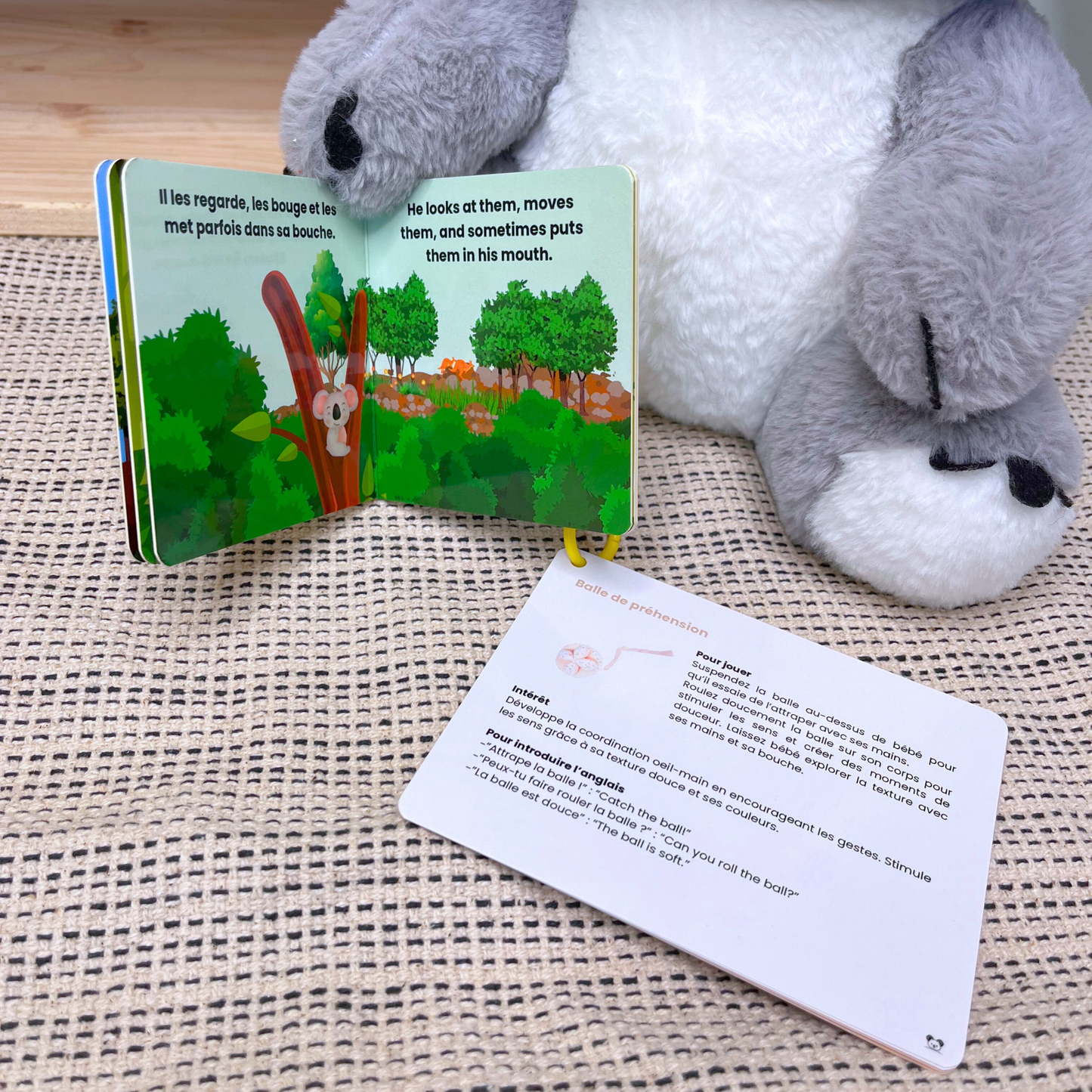 Box bébé montessori bilingue 3-6 mois
