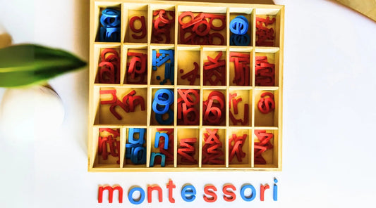 Les-étapes-clés-du-développement-de-l-enfant-selon-la-pédagogie-Montessori Noor & Koala 