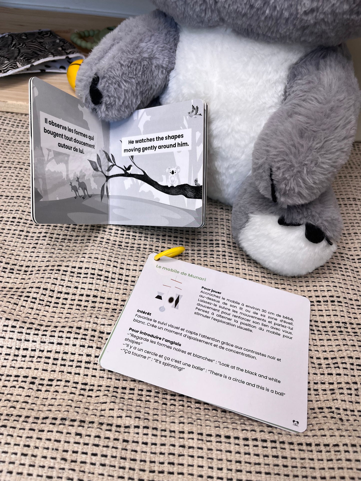 MIKO LE KOALA - Votre compagnon d’aventure