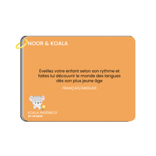 KIT DE JEU 30-36 Mois Koala Ingénieux