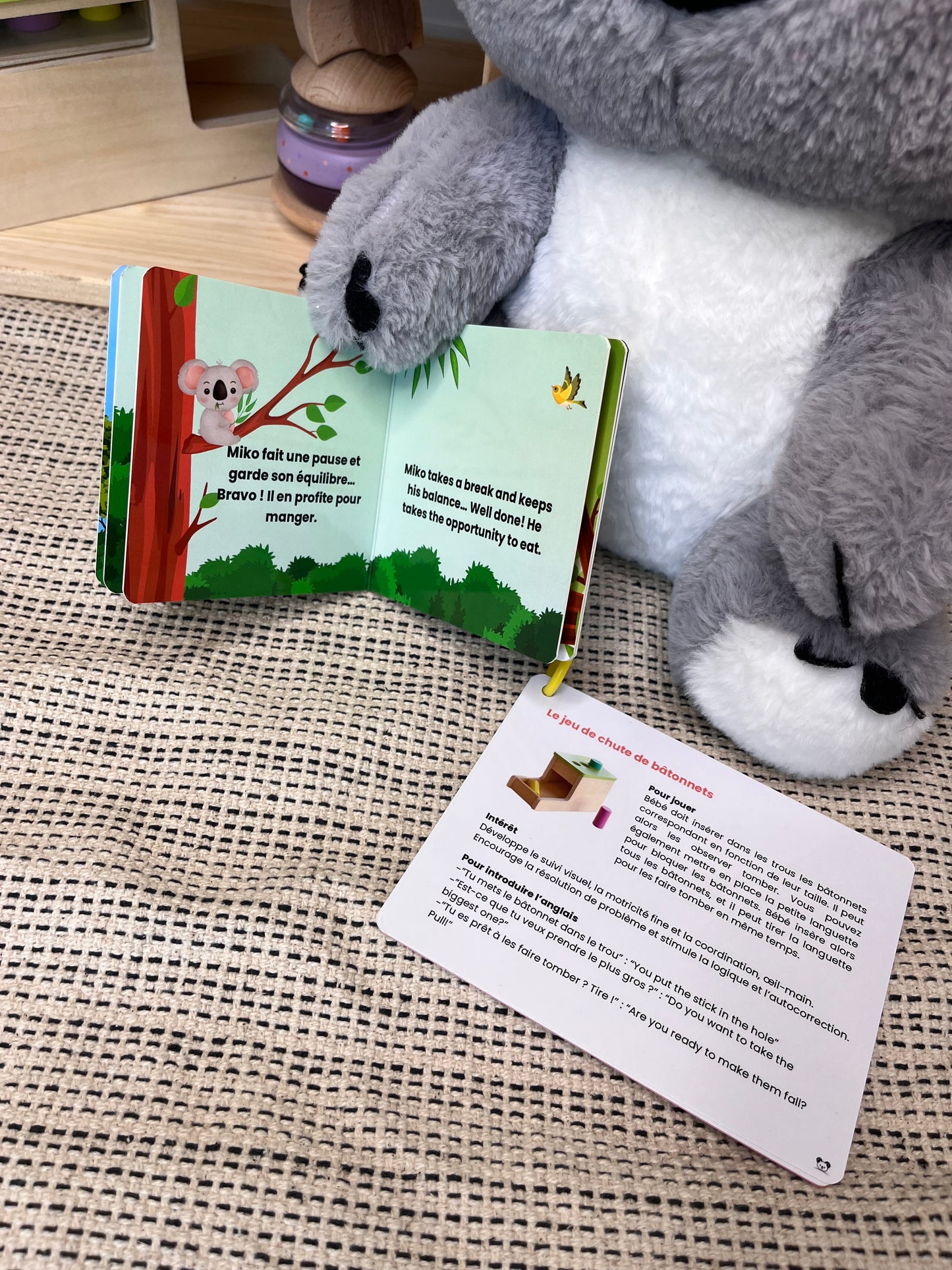 MIKO LE KOALA - Votre compagnon d’aventure