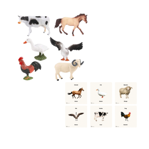 KIT DE JEU 18-24 Mois Koala Conteur