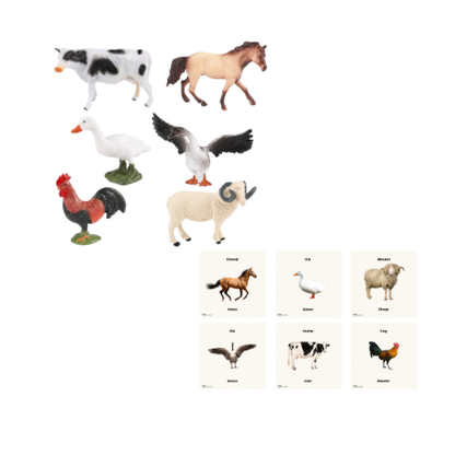 KIT DE JEU 18-24 Mois Koala Conteur